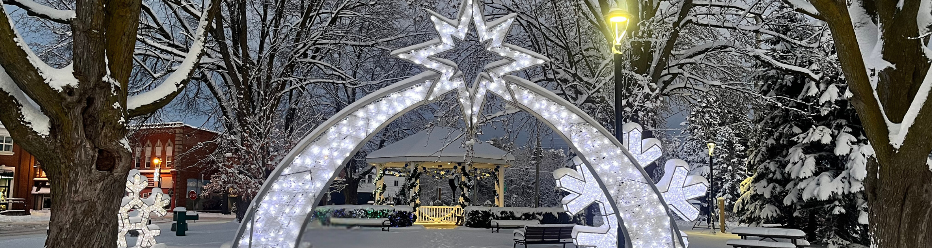 Rural Lights at Station Park in Snow