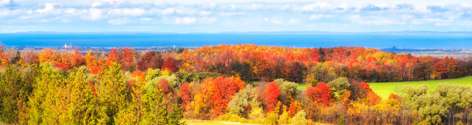 Clearview Fall View